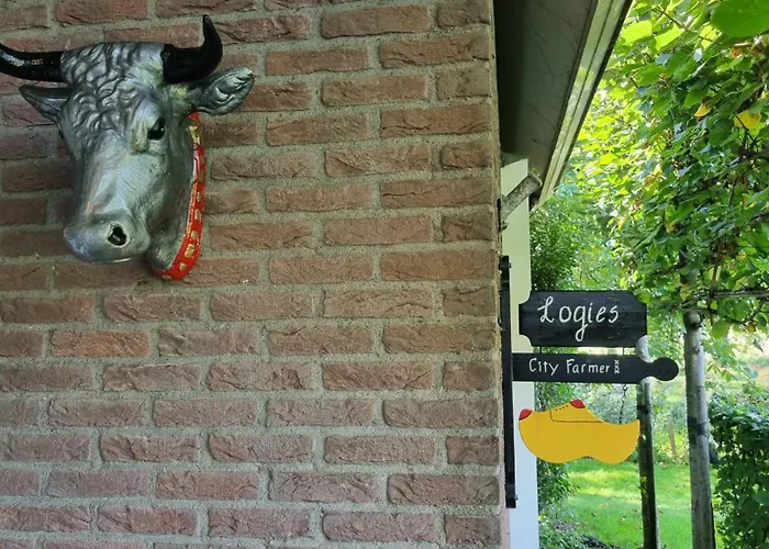 City Farmer Amsterdam A Guesthouse With Bikes , Bed & Breakfast And Free Parking